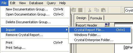 Report Analyzer for Crystal Reports