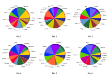 Advanced multi-slice pie label engine for multiple pies